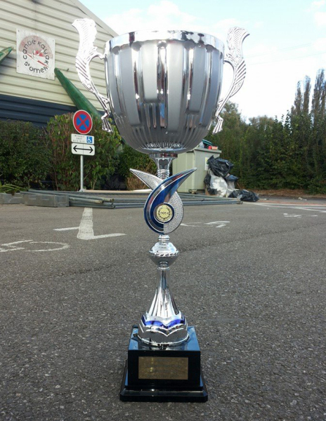 Pokal Champions League 2014